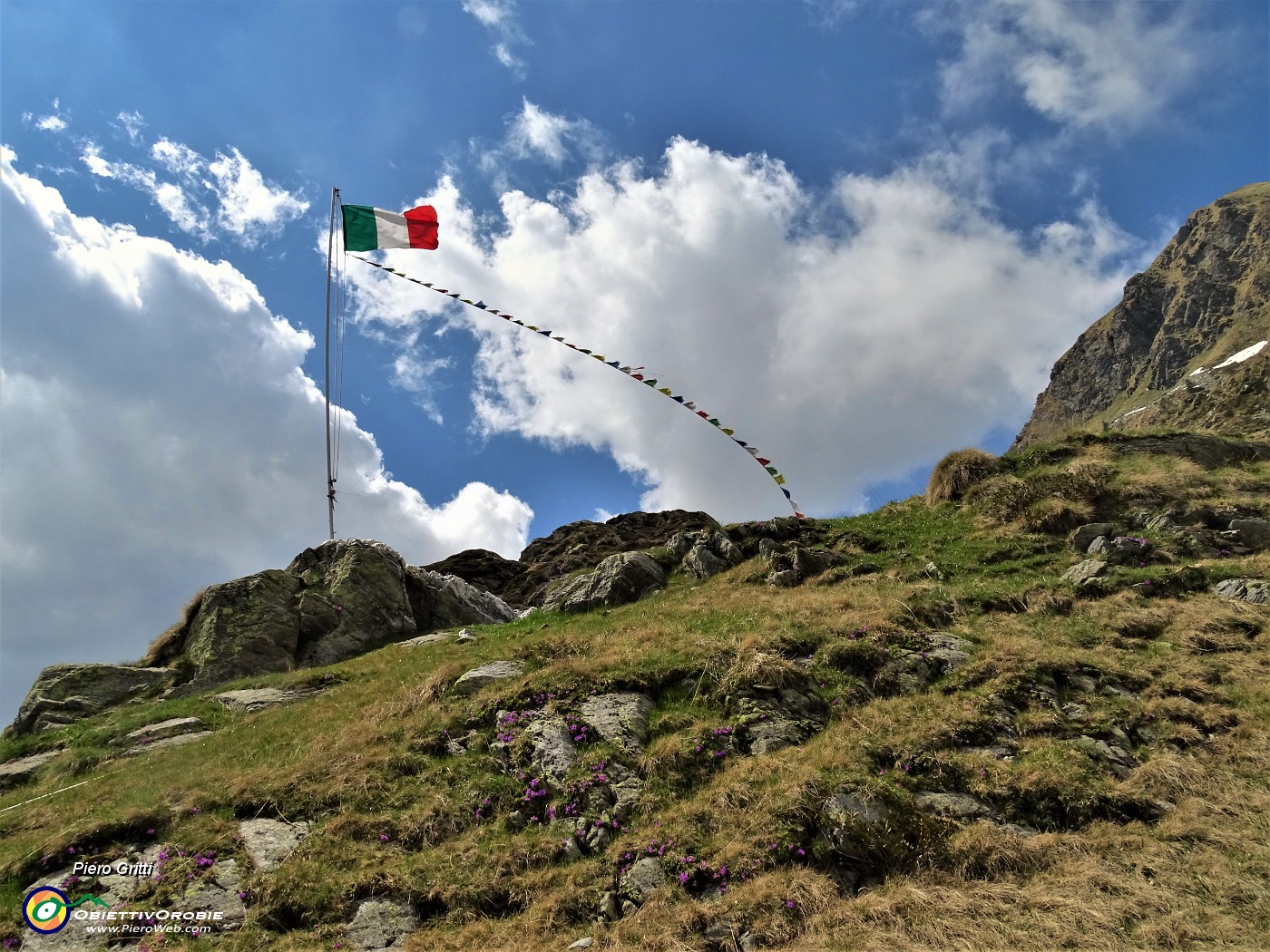 81 Al rif. Balicco sventola il tricolore con tanti fiori sui pascoli.JPG